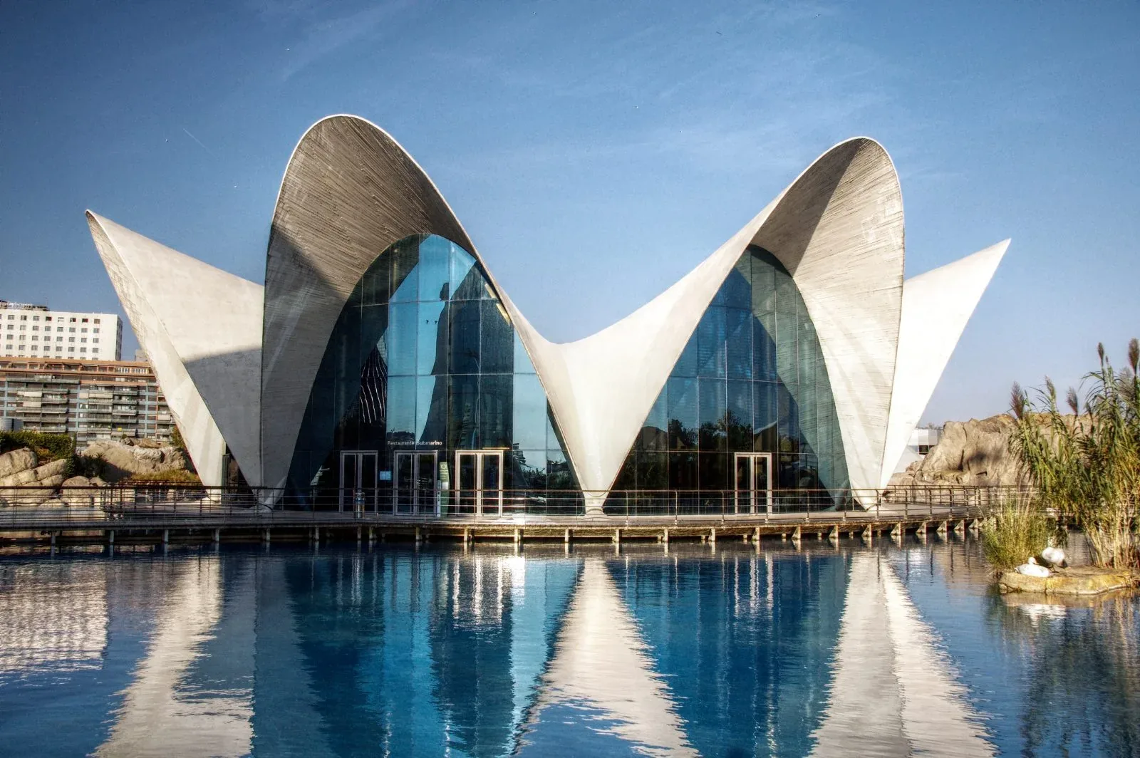 City of Arts and Sciences in Valencia, a lower cost option if you study in Spain 2026