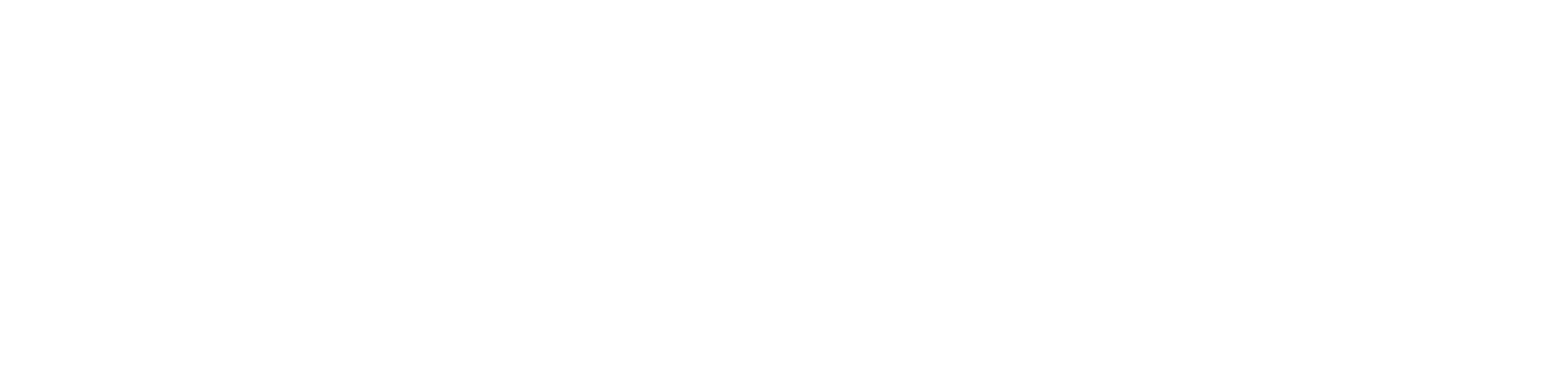 LearnerConnect